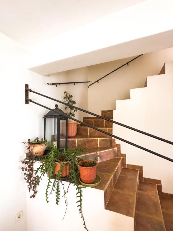 アレクサンドルポリス The Early Bird - Cosy 2-Floor House With Gardenヴィラ エクステリア 写真